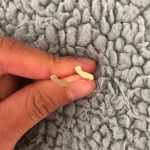 California gold studs